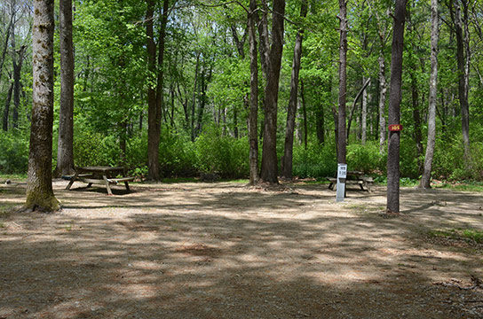 Canoe River Campground Site #105 - Mansfield, MA