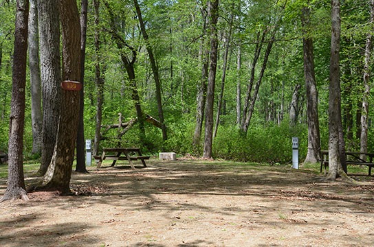 Canoe River Campground Site #109 - Mansfield, MA