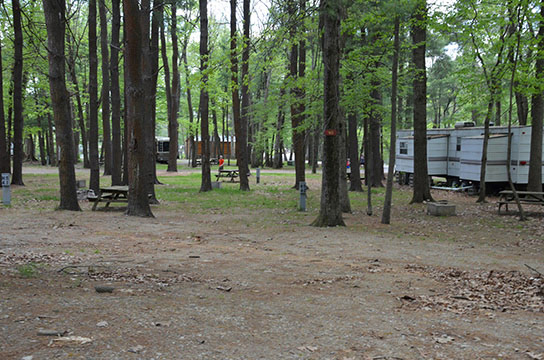 Canoe River Campground Site #40 - Mansfield, MA