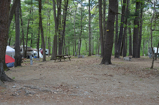 Canoe River Campground Site #68 - Mansfield, MA