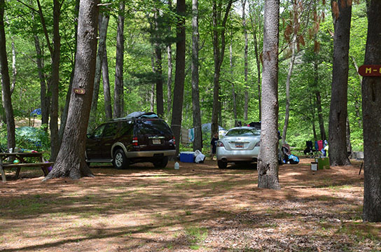 Canoe River Campground Site #M-03 - Mansfield, MA