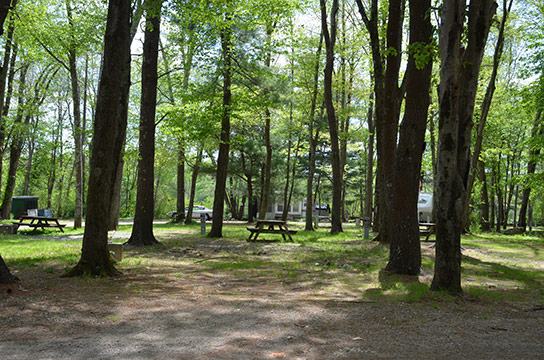 Canoe River Campground Site #16 - Mansfield, MA