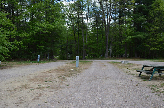 Canoe River Campground Site #PT-21 - Mansfield, MA