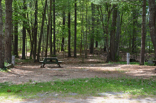 Canoe River Campground Site #S-11 - Mansfield, MA