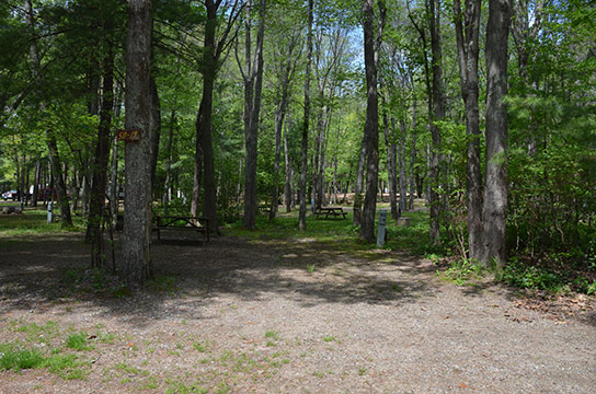 Canoe River Campground Site #SD-19 - Mansfield, MA